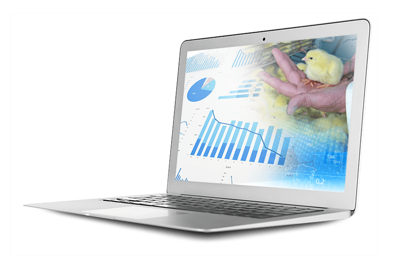 Unlock The Power of Data