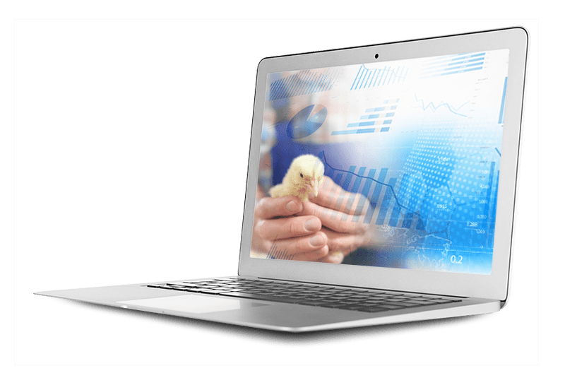 Unlock The Power of Data