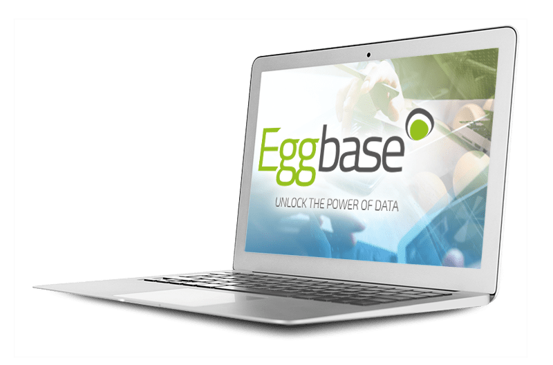 Unlock The Power of Data