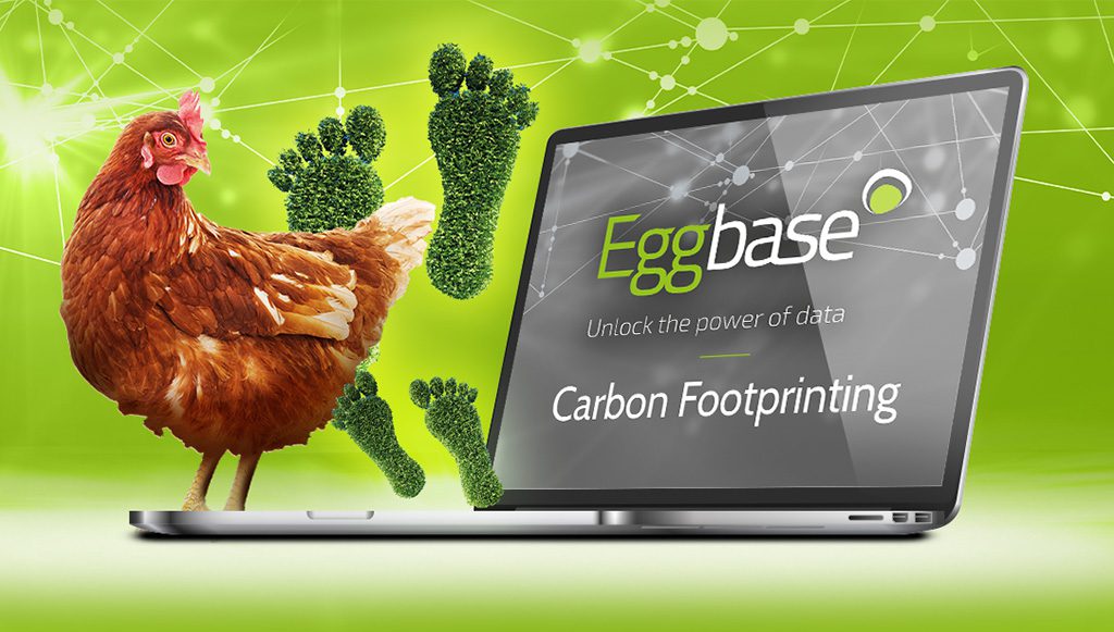 Complying With Lion Code 8 – Carbon Footprinting Made Easy