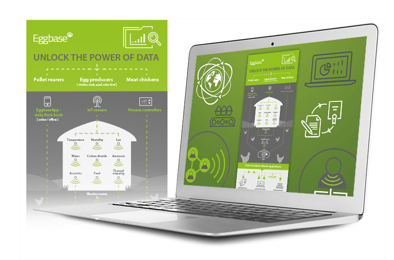 Unlock The Power of Data