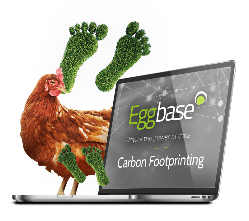 Carbon Footprinting