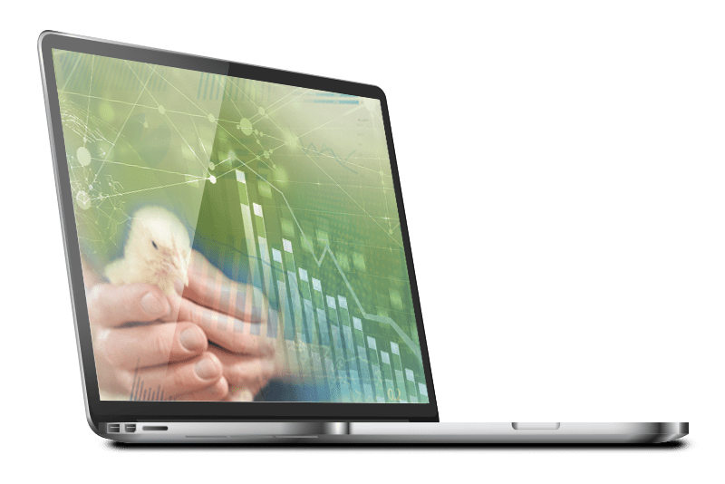 Eggbase Carbon footprintng