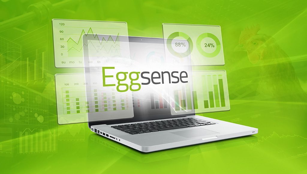 Discover the New and Improved Eggsense Analytics Dashboard