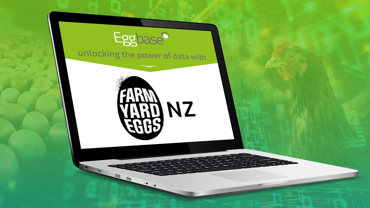 Our first partner in New Zealand – Farmyard Eggs!