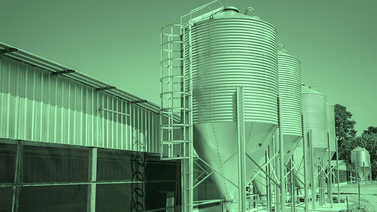 Supporting your poultry feed customers with ease