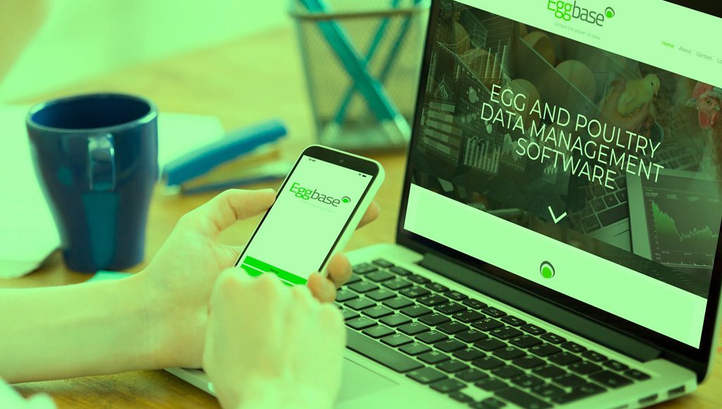 Producer Support Manager Vacancy at Eggbase