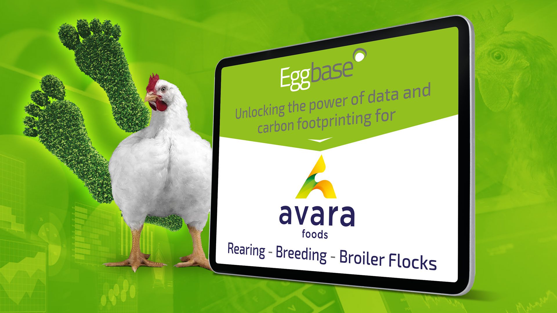 Unlocking the power of data for Avara Foods