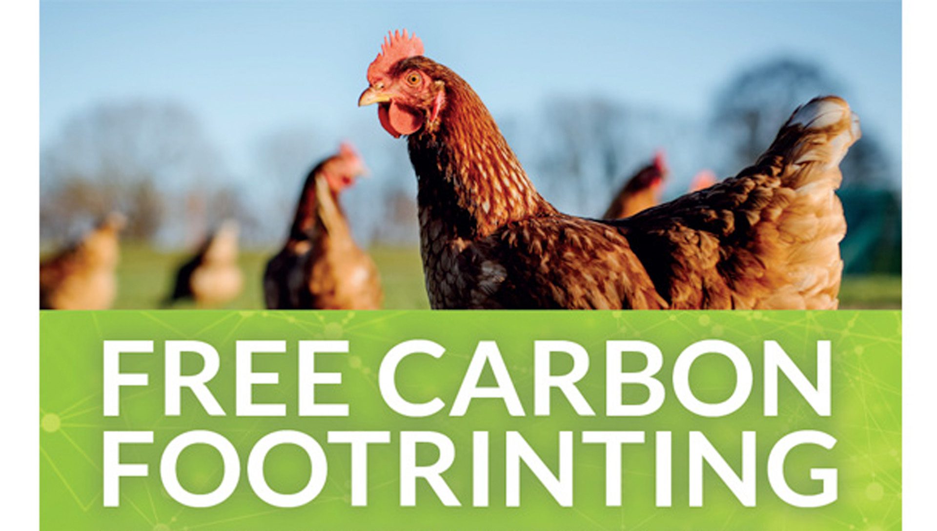 FREE EGGBASE CARBON FOOTPRINTING WITH PROMAR