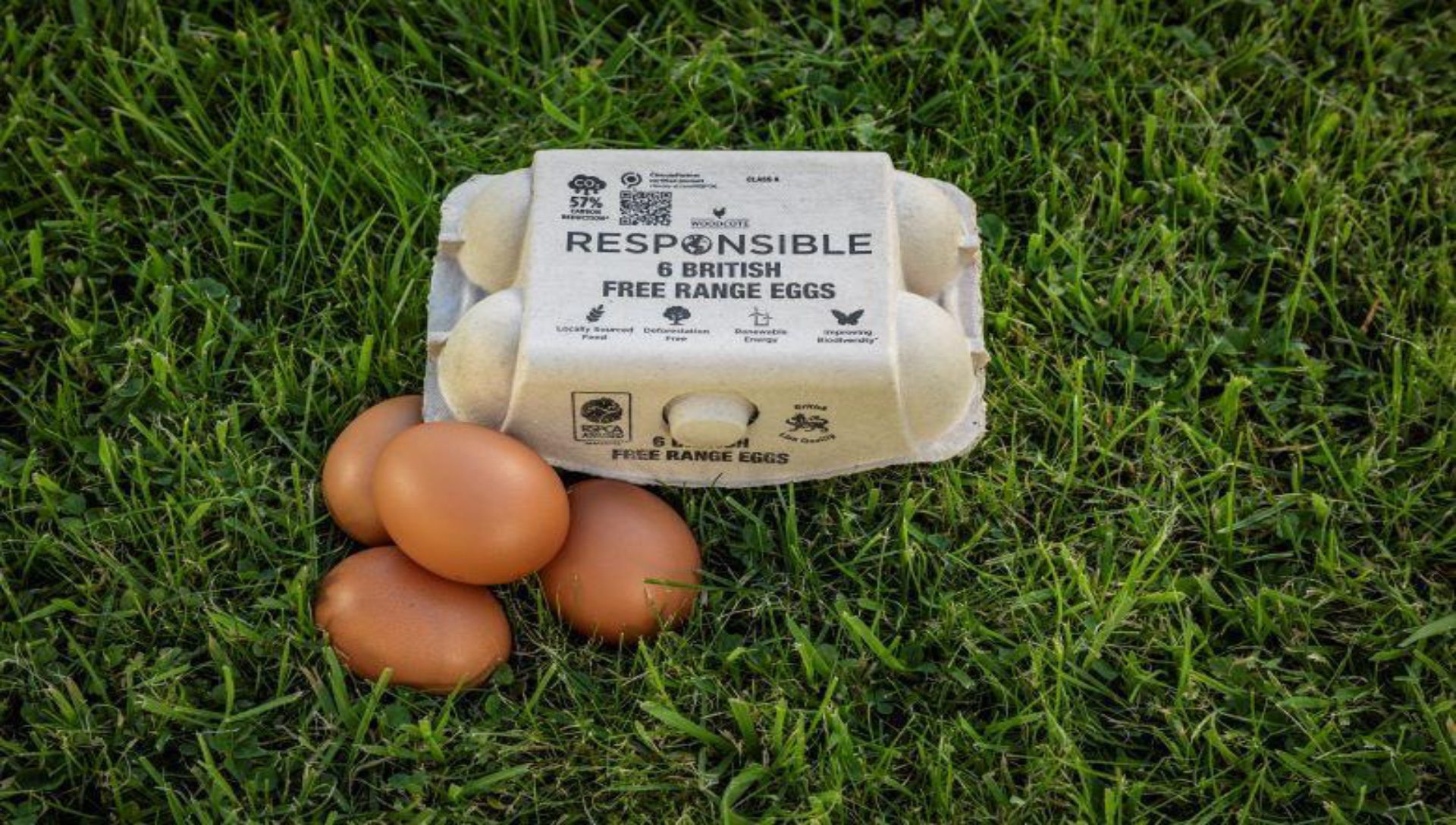 EGGBASE ARE PROUD TO WORK WITH LEADERS IN CARBON REDUCTION