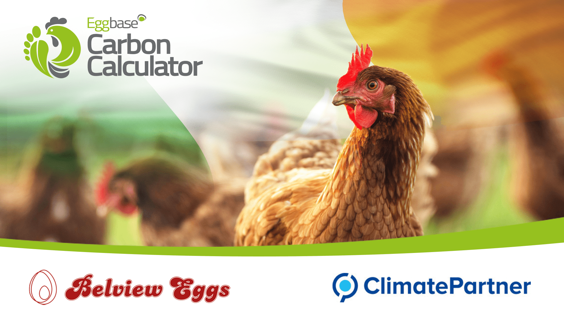 A Full Corporate Carbon Footprint For Belview Eggs