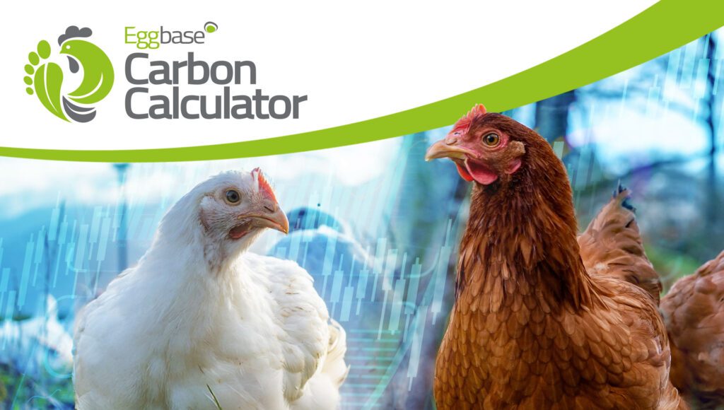 Eggbase Carbon Calculator