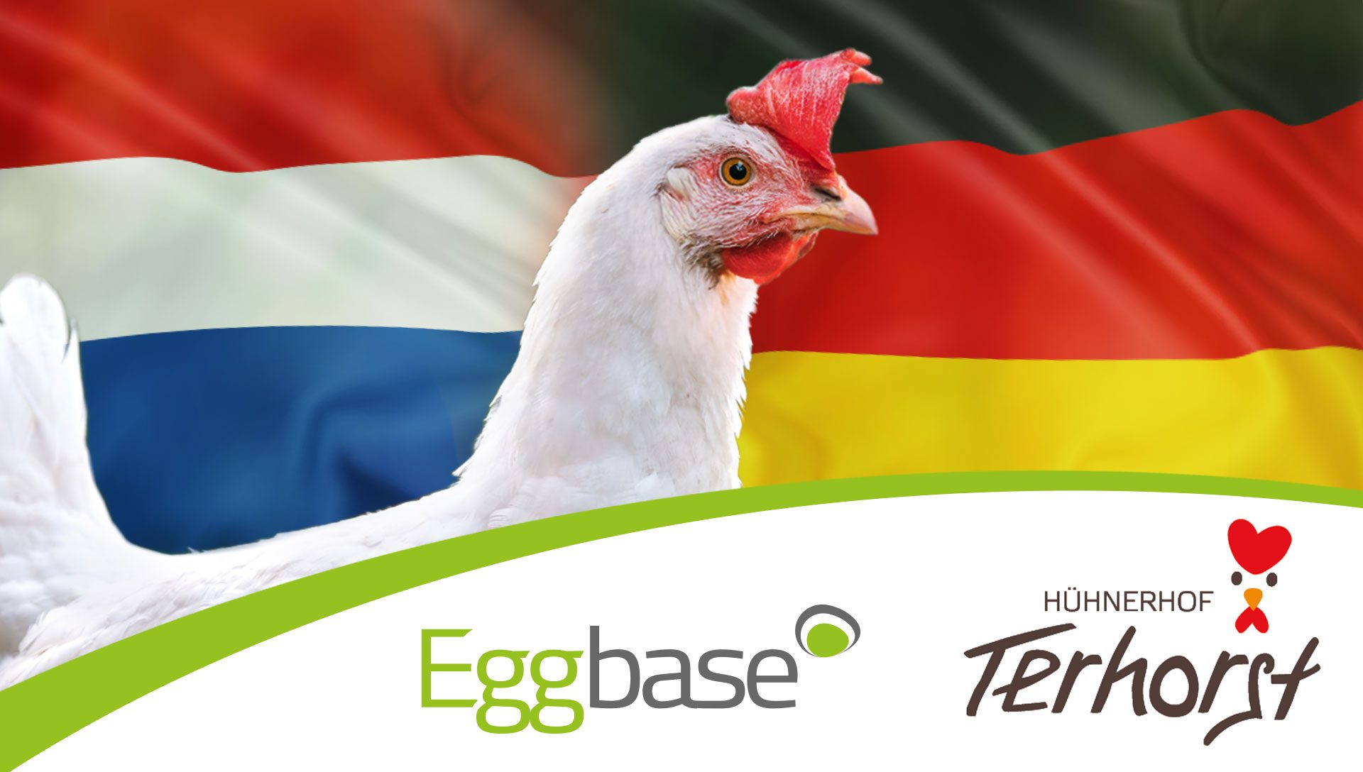 Cross-border success with Eggbase and Laying Hen Pros