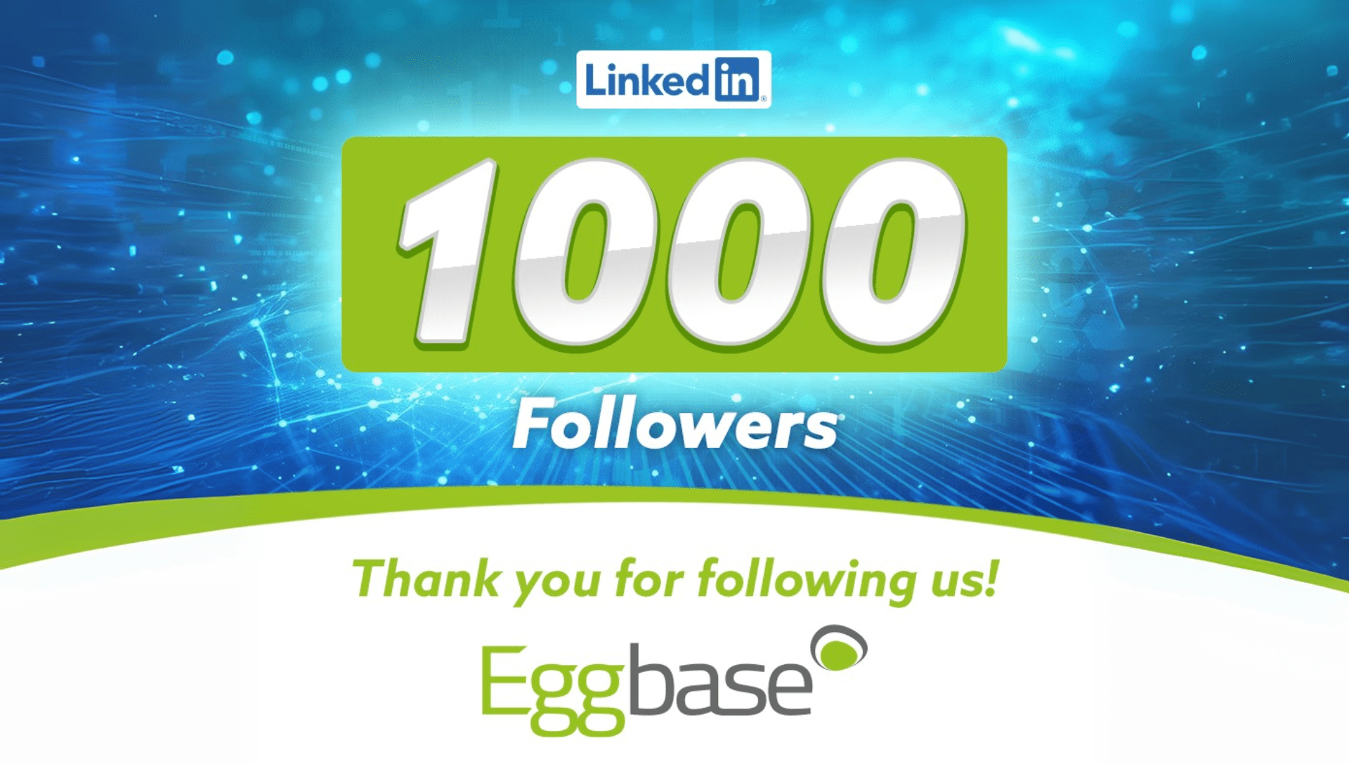 A LinkedIn Milestone Worth Celebrating – 1000 Followers!