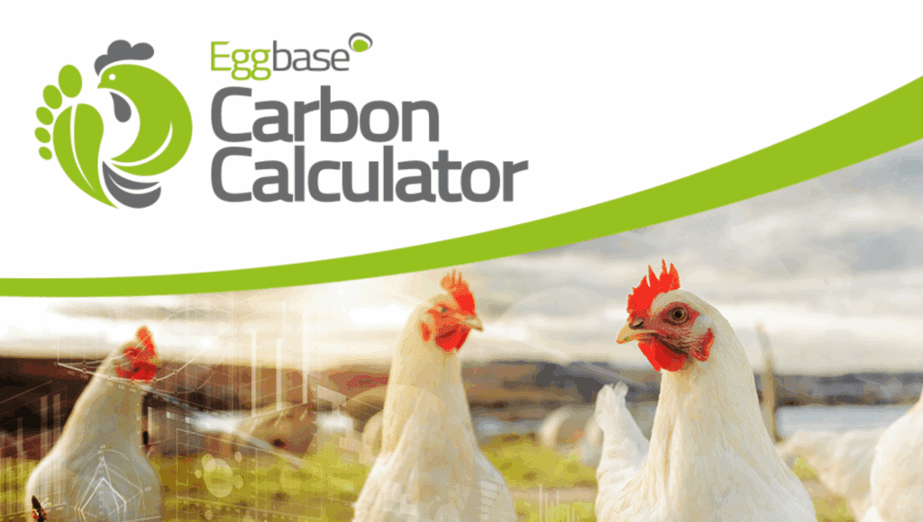 eggbase carbon calculator