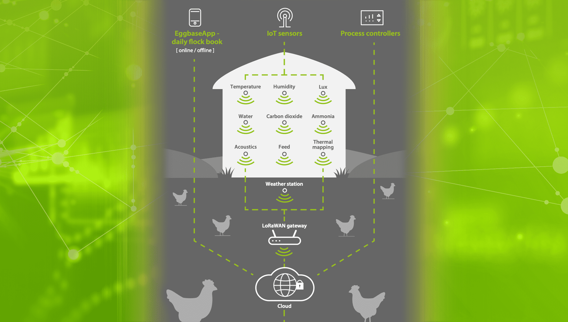 Egghub – Manage Data Integrations from Multiple Sources